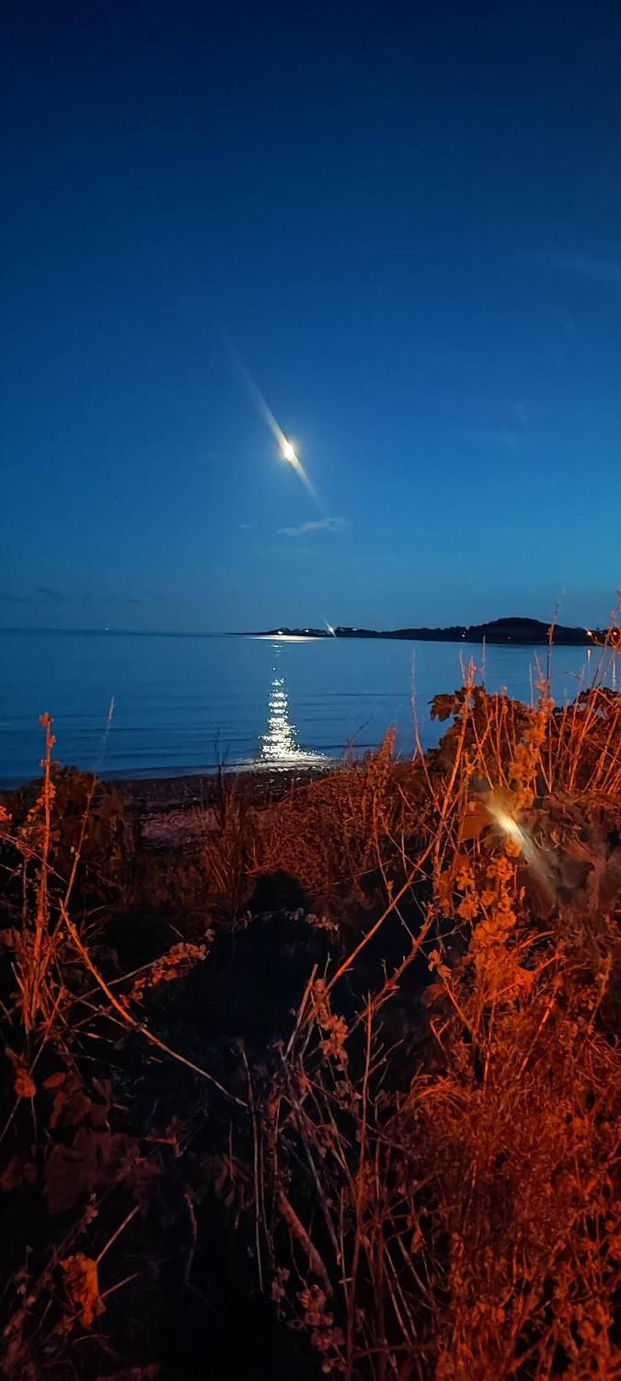 شقة Horse Island View Luxury Retreat Kircubbin المظهر الخارجي الصورة